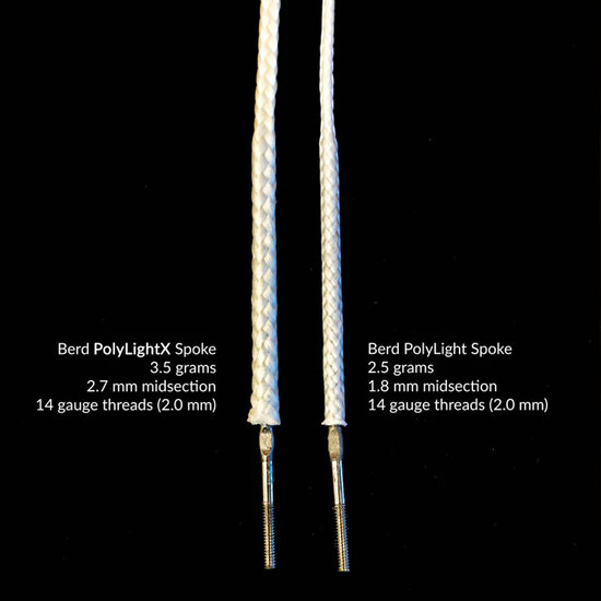 WIELBOUW WORKSHOP DAG