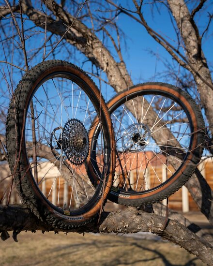 Berd MTB wielset: HAWK30 GOLD Carbon