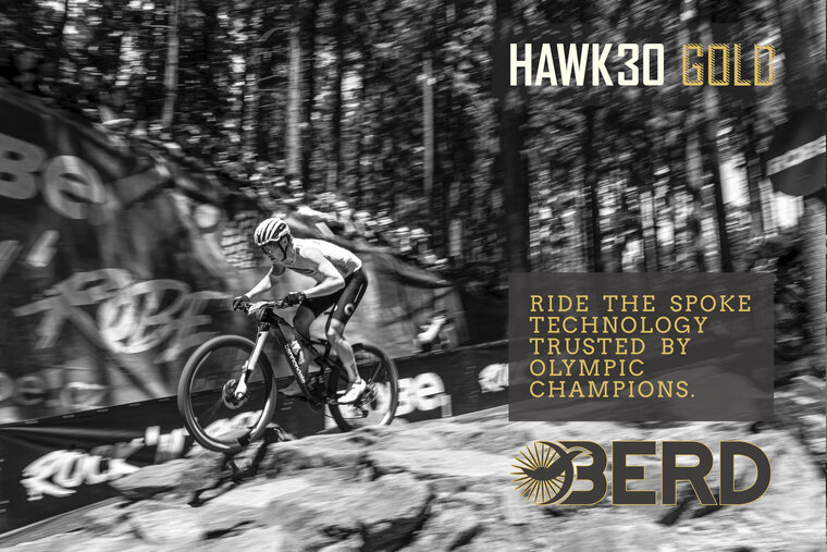 Berd MTB wielset: HAWK30 GOLD Carbon