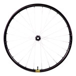 Berd MTB wielset: HAWK30 GOLD Carbon